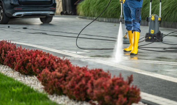 Best Solar Panel Cleaning  in Chapman, KS